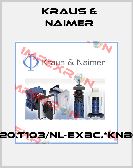 KG20.T103/NL-EXBC.*KNBOX Kraus & Naimer