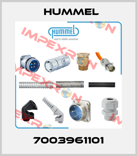 7003961101 Hummel