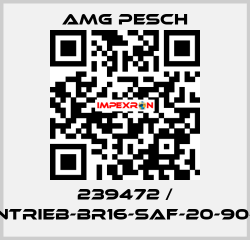 239472 / AMG-Antrieb-BR16-SAF-20-90-01-n=12 AMG Pesch