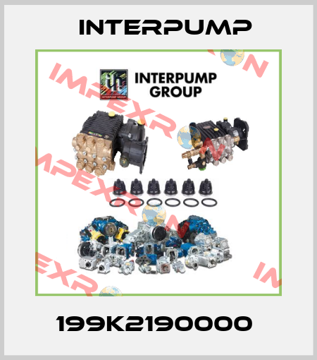 199K2190000  Interpump