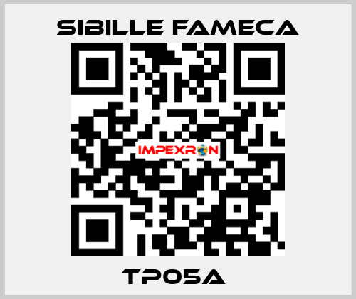 TP05A  Sibille Fameca