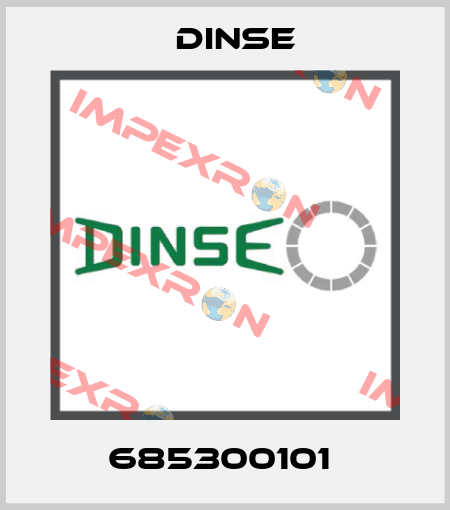 685300101  Dinse