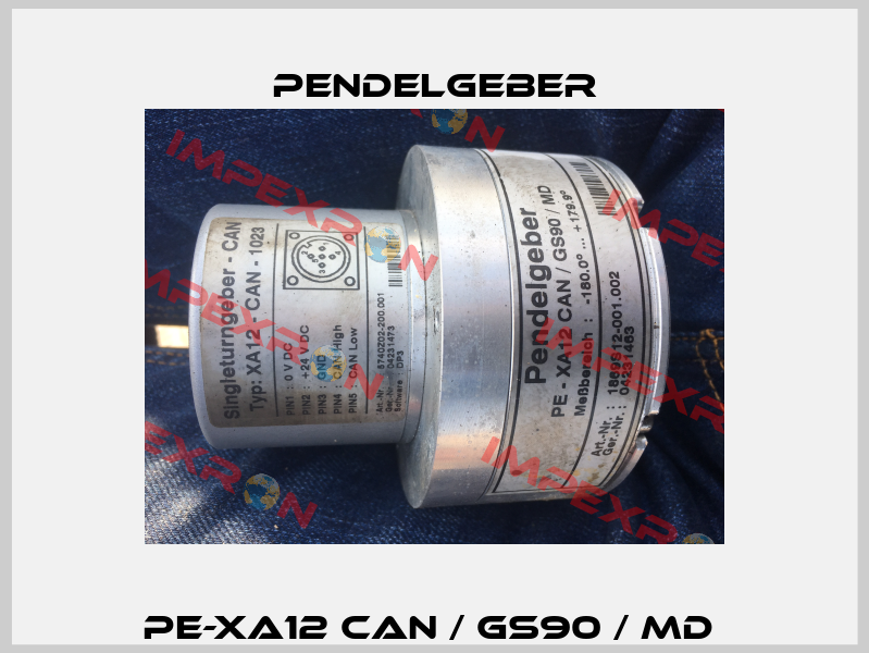 PE-XA12 CAN / GS90 / MD  Pendelgeber
