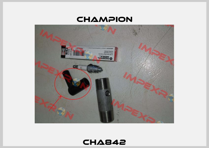 CHA842 Champion