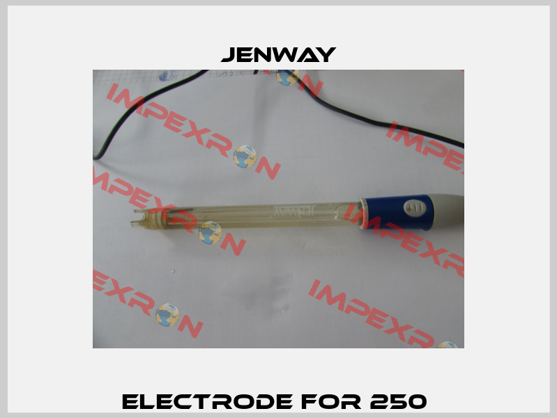 Electrode for 250  Jenway