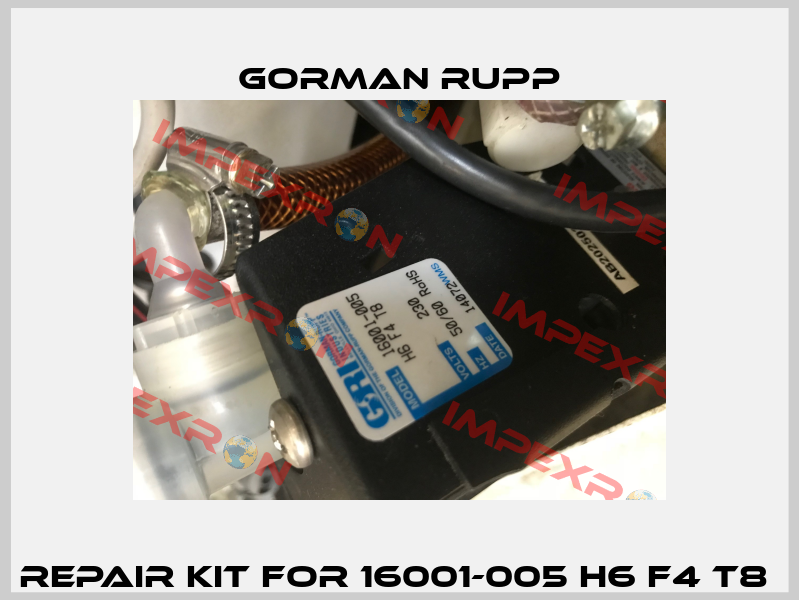 repair kit for 16001-005 H6 F4 T8  Gorman Rupp