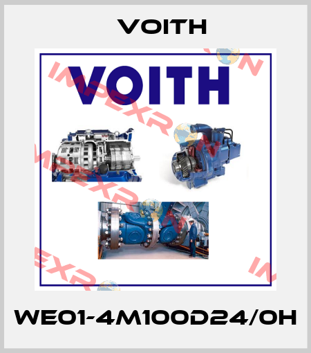 WE01-4M100D24/0H Voith