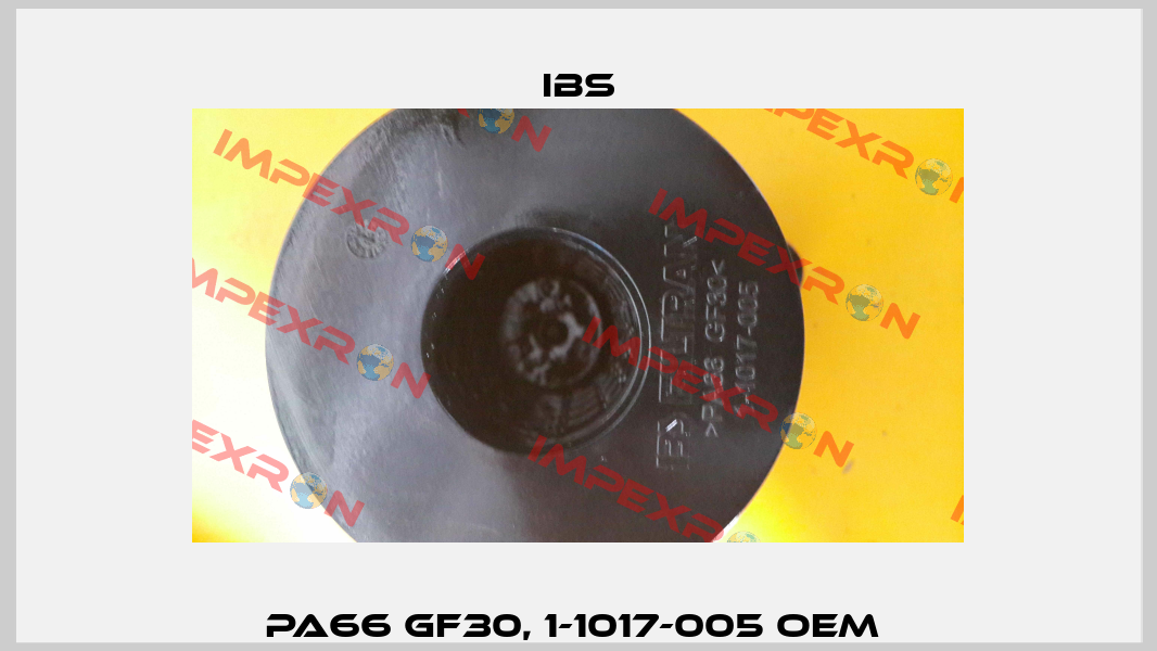 PA66 GF30, 1-1017-005 oem  Ibs