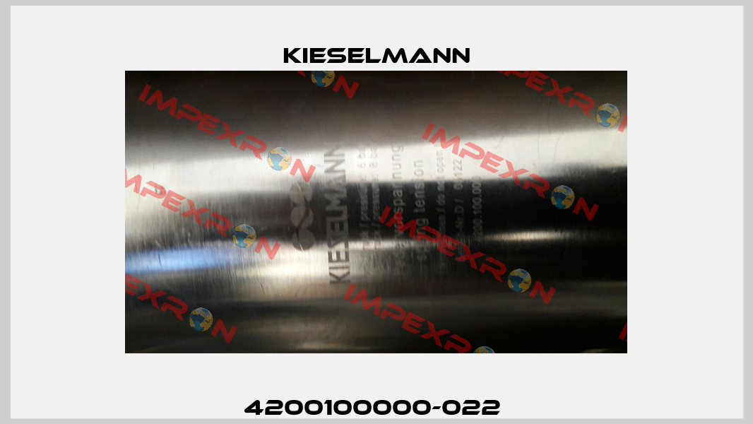 4200100000-022  Kieselmann