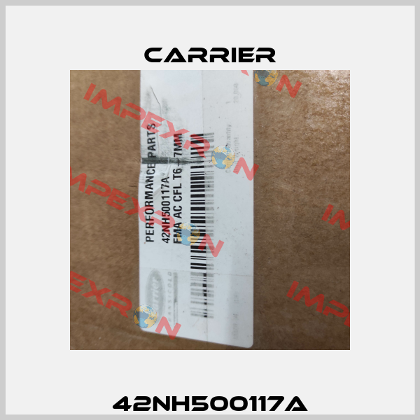 42NH500117A Carrier